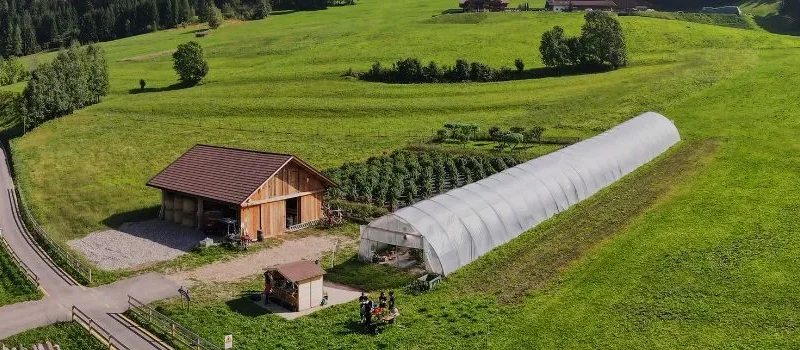 azienda agricola dolomiti bio hemp trento