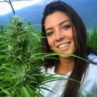 dolomiti bio hemp la bellezza della canapa