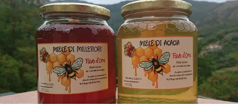 il favo doro val graveglia miele di acacia e di castagno