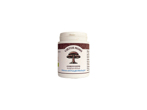 Polvere di Fungo Cordyceps Sinensis