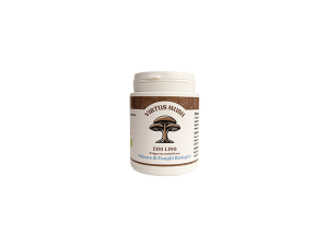 Funghi medicinali Zhu Ling