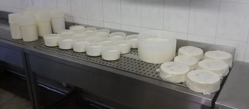 i formaggi fattoria montegrosso sciarborasca